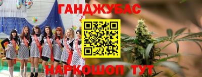 сатива Гай