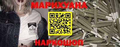 сатива Гай