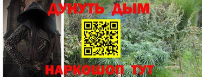 дживик Гатчина