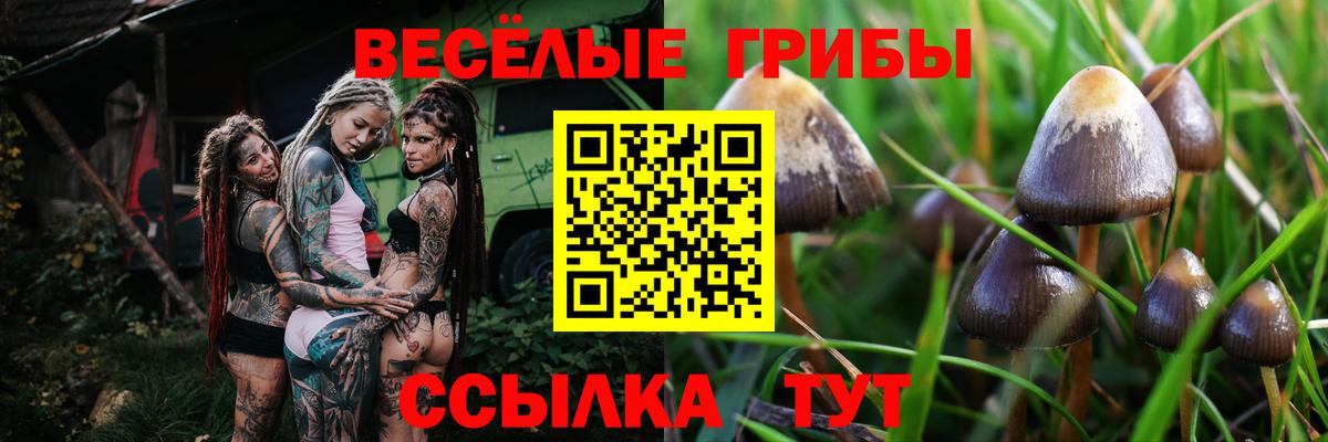 Дзержинский  Псилоцибиновые грибы мицелий  Вход с VPN 